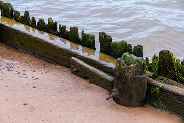 Remains of a wooden military fortification on a river island