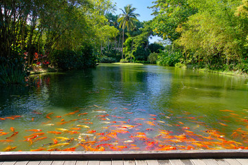 Beautiful botanical garden - Jardin de Deshaies, north west of Basse-Terre, Guadeloupe, Caribbean