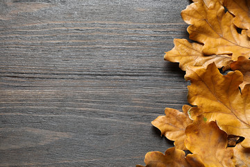 Flat lay composition with autumn leaves on wooden background. Space for text