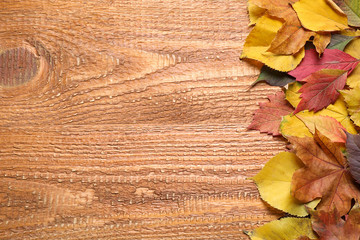 Naklejka na ściany i meble Flat lay composition with autumn leaves on wooden background. Space for text