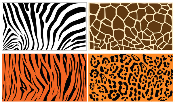 Animal print texture vectors