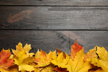 Flat lay composition with autumn leaves on dark wooden background. Space for text