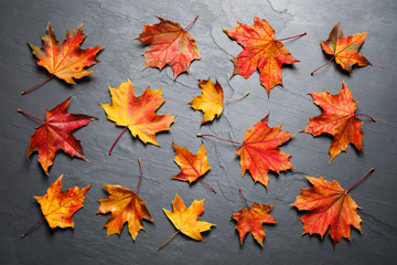 Flat lay composition with autumn leaves on grey stone background