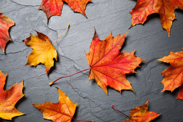 Flat lay composition with autumn leaves on grey stone background