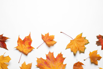 Flat lay composition with autumn leaves on white background. Space for text
