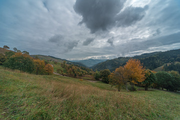 Naklejka na ściany i meble View of the Carpathian slopes