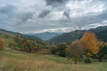 View of the Carpathian slopes