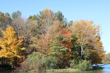 Fototapeta premium Nature