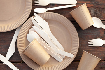 eco paper plate dish fork on old wooden table