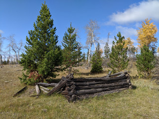 Historic Homestead Frame