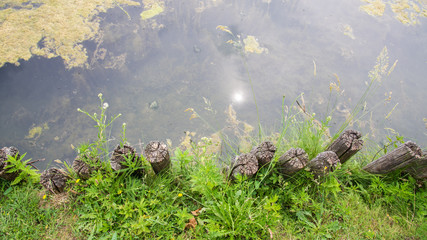 Shore of a pond, delimited by wooden trunks. The water is calm and the sun is reflecting