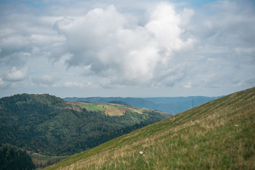 The slopes of the Carpathian mountains