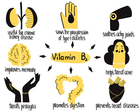 Hand drawn vitamin B3 niacin benefits concept: chronic kidney disease, treats acne, pellagra, improves memory. Vector illustration for pharmalogical or medical poster, brochure, dietary supplement