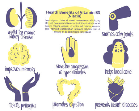 Hand drawn vitamin B3 niacin benefits concept: chronic kidney disease, treats acne, pellagra, improves memory. Vector illustration for pharmalogical or medical poster, brochure, dietary supplement