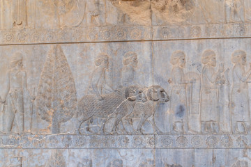 Persepolis - Shiraz - Iran