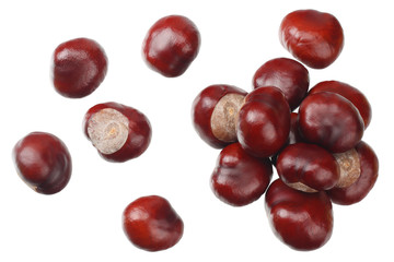 chestnuts isolated on white background. top view