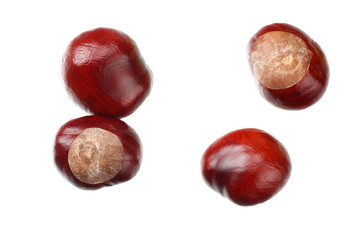 chestnuts isolated on white background. top view