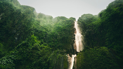 Carbet Falls Guadeloupe. - obrazy, fototapety, plakaty