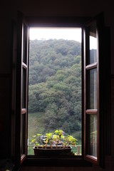 window in the nature