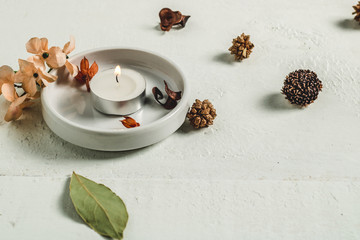 aromatherapy with dried seeds and candle on white wooden background