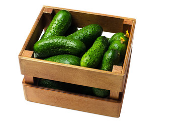 Cucumbers in wooden crate isolated on white background