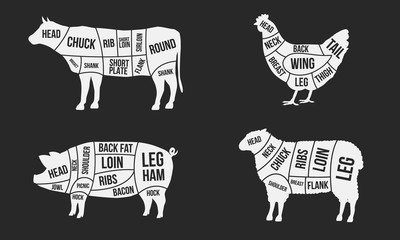 Meat cuts diagrams. Beef, pork, mutton and chicken cuts of meat. Vintage poster for groceries, butcher shop and meat store. Vector illustration