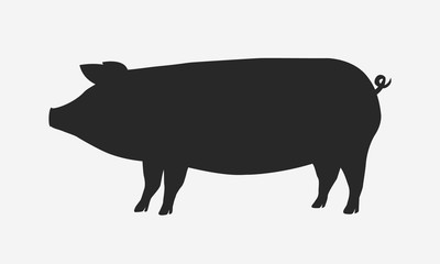 Pig silhouette isolated on white background. Vector illustration