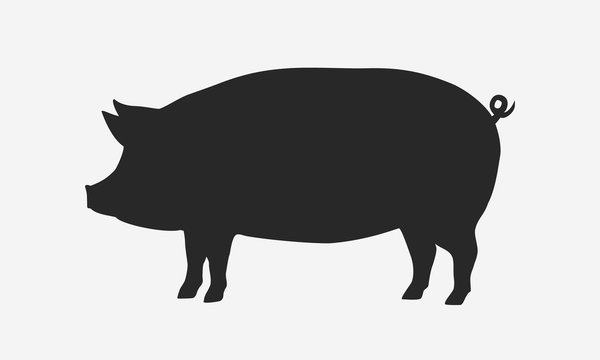 	 Vector pig silhouette. Pig silhouette icon isolated on white background.