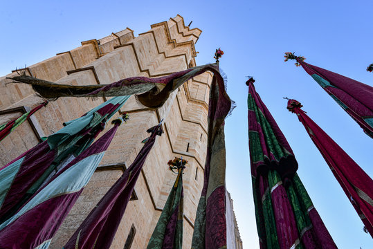 Pendones de Le&oacute;n 