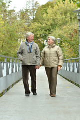 Portrait of happy senior couple in autumn park