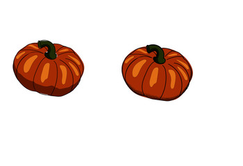 two orange pumpkins