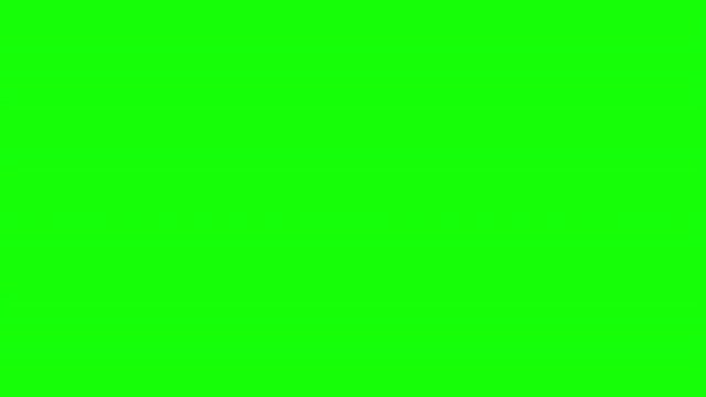 Blank Hand Stamps on Chroma Key Green Background With and Without Sleeve