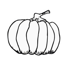 Halloween Pumpkin black and white hand drawing vector. Isolated contour image