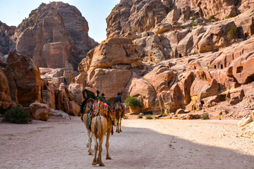 Wadi Rum and Petra  in Jordan