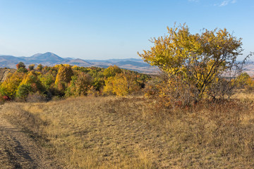 Autumn panorama of Cherna Gora mountain, Bulgaria