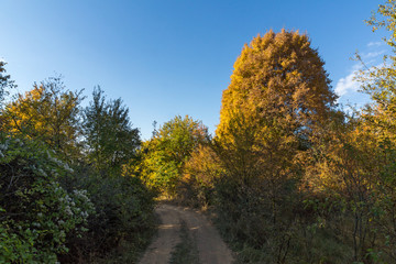 Autumn panorama of Cherna Gora mountain, Bulgaria