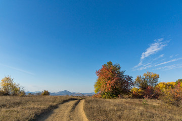 Obraz premium Autumn panorama of Cherna Gora mountain, Bulgaria