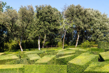 Fantastic summer landscape in the park with geometrically trimmed shrubs. Travel France.