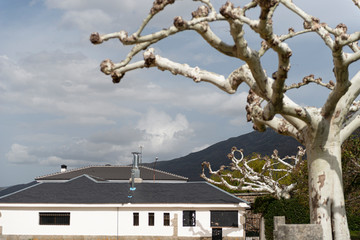 VILLA PIEDRAHITA AVILA JARDINES PALACIO DUQUES DE ALBA ABRIL 2018