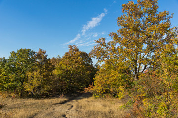 Fototapeta premium Autumn panorama of Cherna Gora mountain, Bulgaria