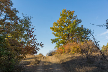 Autumn panorama of Cherna Gora mountain, Bulgaria