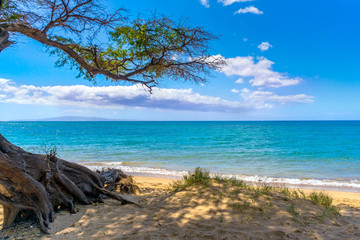 Relaxing beaching in Kihei, Hawaii on the island of Maui