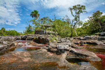 Caño Cristales Colombia , Rio de Colores