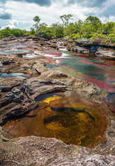 Caño Cristales Colombia, Rio de Colores