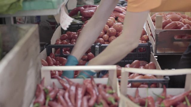 Commesso con pomodori rossi