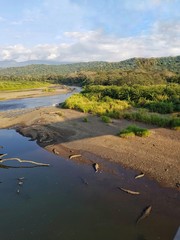 Crocodiles sur la plage