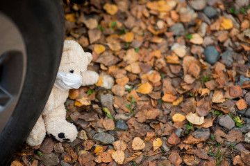 Obraz premium teddy bear in a medical mask crushed by a car