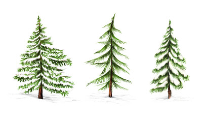 Obraz premium Christmas tree set. Pine, spruce, fir in snow. Hand drawn illustration on white background