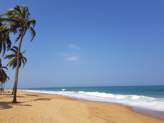Fototapeta premium plage en afrique