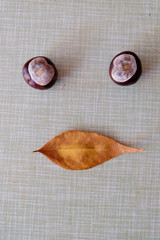 Face made of autumn leaves and chestnuts on a table